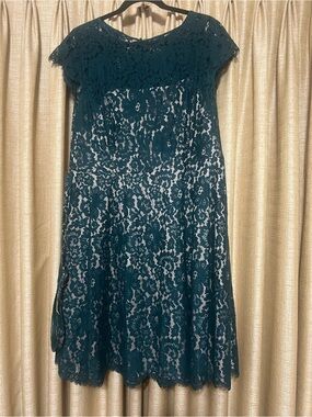 Women's Eliza J Illusion Top Lace Evening Gown, Size 8 - Blue